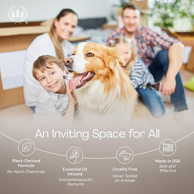 Muse Apothecary Home Ritual Active Odor Eliminator Spray - Furniture Deodorizer Spray & Bathroom Odor Eliminator for Home - Essential Oil Air Freshener - 8oz, Ocean Air