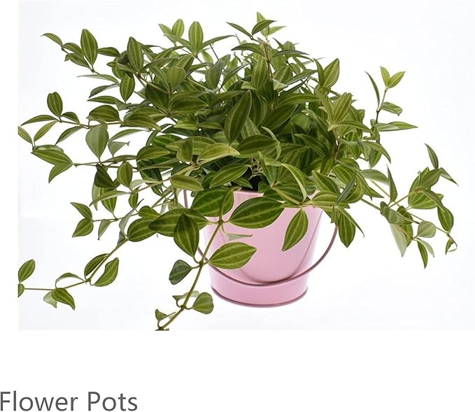 Small Metal Buckets with Handle, 6 Pack 4.3 Inch Colored Galvanized Bucket for Kids,Classroom,Crafts,and Party Favors (Pink, 4.3" Top)