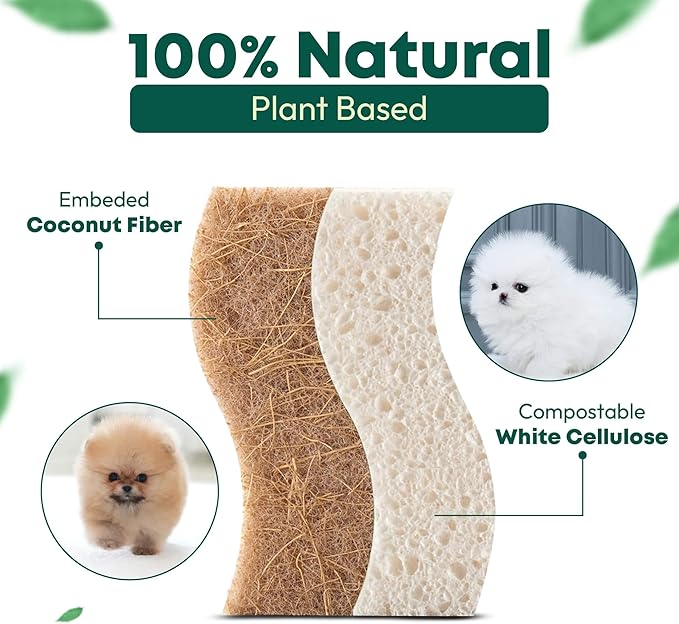 Natural Sponges Kitchen - 6 X-Large Biodegradable Non-Scratch Dish Scrubber, Multipurpose Compostable Sponges for Dishes, Cleaning Scrub Sponge Brush for Dishwashing