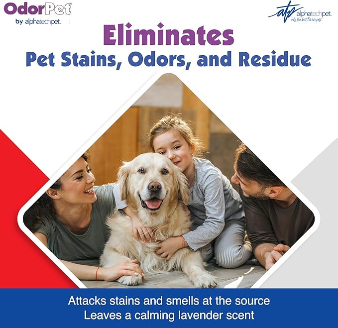 OdorPet Pet Stain Remover and Odor Eliminator - 64 Oz (Makes 2.55 Gallons of Working Solution) Non Staining, Professional Strength, Black Cherry Scent by Alpha Tech Pet