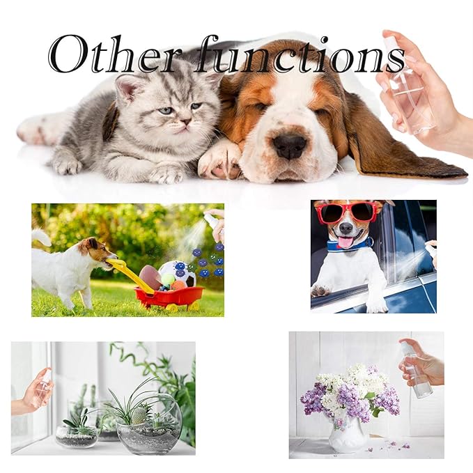 ZEJIA Small Refillable Mini Spray Bottle for Face, Liquids, Perfume - 2OZ Plastic Travel Spray Bottle with Labels (6 Pack)