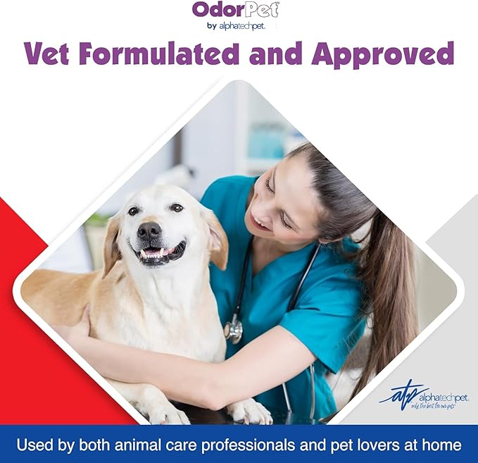 OdorPet Pet Stain Remover and Odor Eliminator - 64 Oz (Makes 2.55 Gallons of Working Solution) Non Staining, Professional Strength, Black Cherry Scent by Alpha Tech Pet