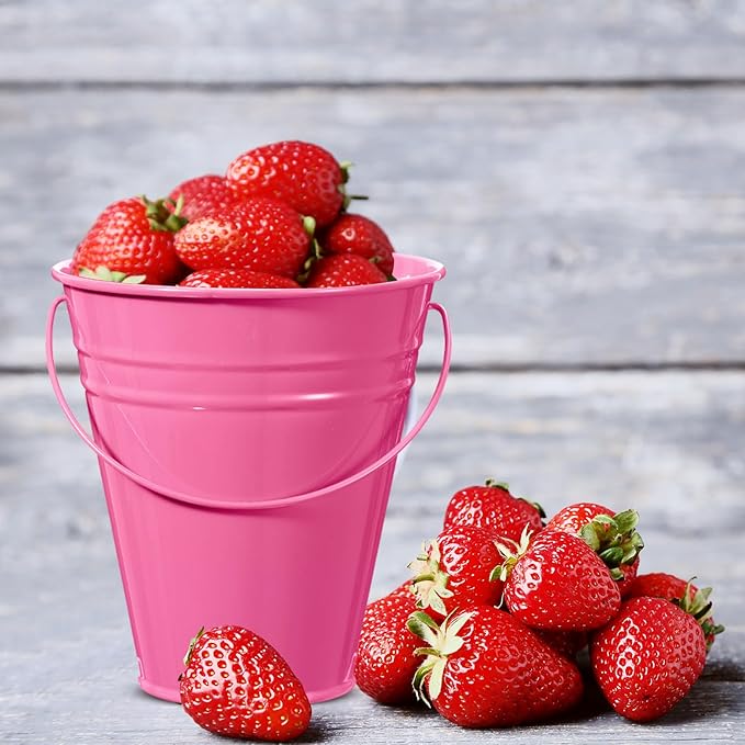 Sadnyy 12 Pack Metal Buckets with Handle, Galvanized Bucket 4.5 x 5 Inch Basket Bucket Party Supplies, Crafts for Christmas Halloween Candy Bars Vase Crafts(Pink)