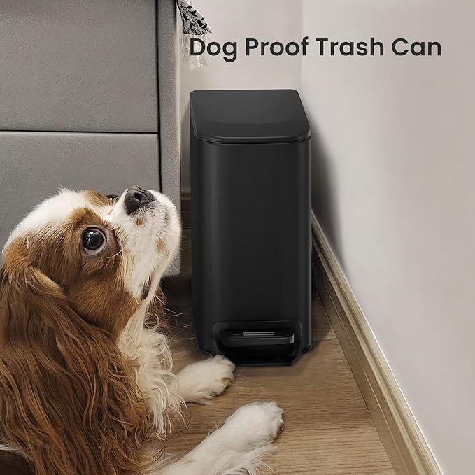 Cesun Small Bathroom Trash Can with Lid Soft Close, Step Pedal, 6 Liter / 1.6 Gallon Stainless Steel Garbage Can with Removable Inner Bucket, Anti-Fingerprint Finish (Matt Black)