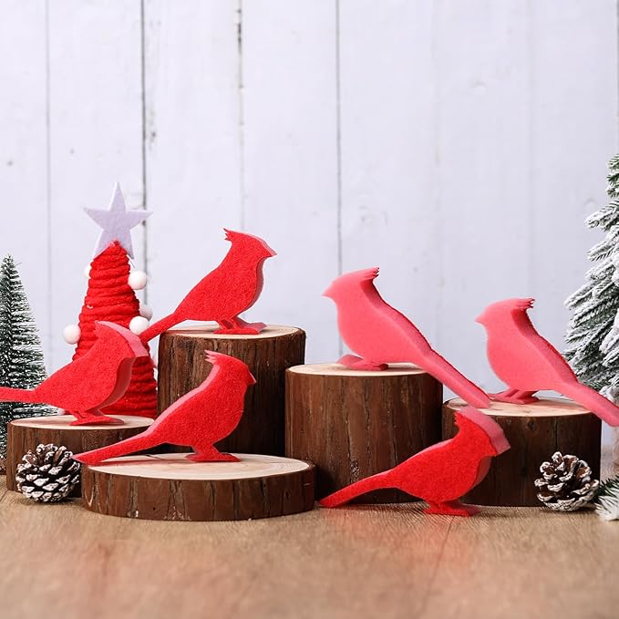 Tioncy 12 Pack Christmas Red Bird Kitchen Sponges Red Cardinal Bulk Dual Sided Scrubber Sponges Dishwashing Kitchen Cleaning Accessories for Christmas Xmas Household Supplies
