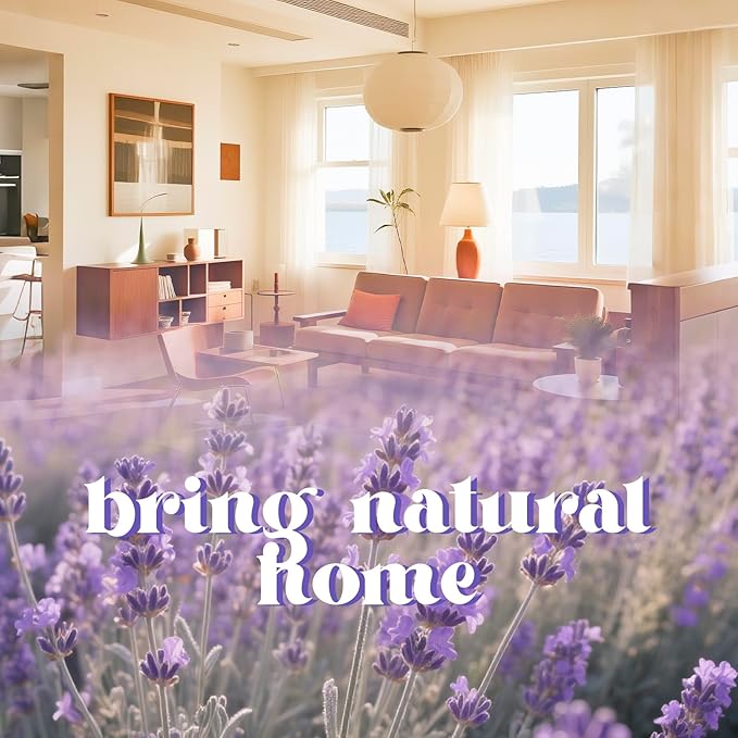 Air Freshener for Home, 2 Pack, 2 Refill, Lavender Scent, Odor Eliminator, Up to 120 Days, Cactus-shaped Freshener for Closet Bathroom, Cute Home Decor, White