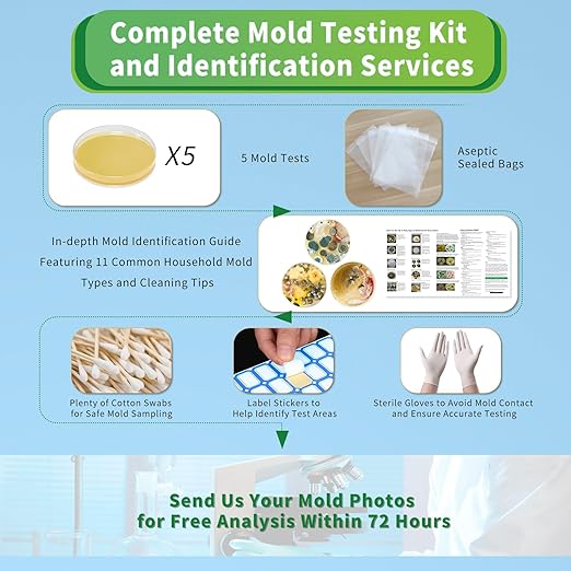 Mold Test Kit for Home with Free Lab Analysis - 5 Simple Detection Tests DIY at Home Mold Air Tester - Test HVAC System,Surface Mold for Home Indoor & Outdoor Air Quality Mold Testing Kits Detector