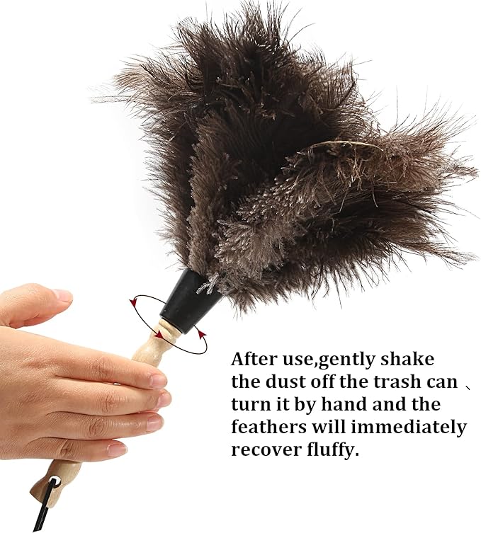 Ostrich Feather Duster 14 inch Fluffy Natural Genuine Ostrich Feathers with Wooden Handle and Eco-Friendly Reusable Handheld Ostrich Feather Duster for Cleaning Supplies(10PCS)