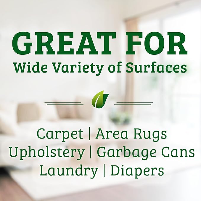 Biokleen Bac-Out Carpet Cleaner Spray, Stain Remover and Odor Eliminator, Use on Area Rugs, Upholstery & More, Removes Dirt, Pets, Wine & Food, Lime Scent, 32 oz, 2 Pack