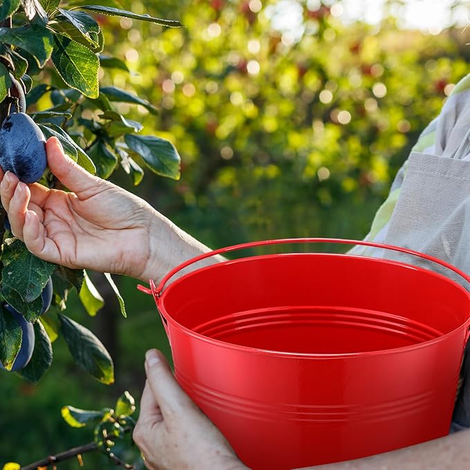 Rtteri 24 Pcs Small Metal Buckets with Handle Mini Buckets Bulk for Easter Party Favors Classroom Pencil Holder Flower Pot Plant Basket for Crafts DIY Projects, 6 x 5 Inch(Red)