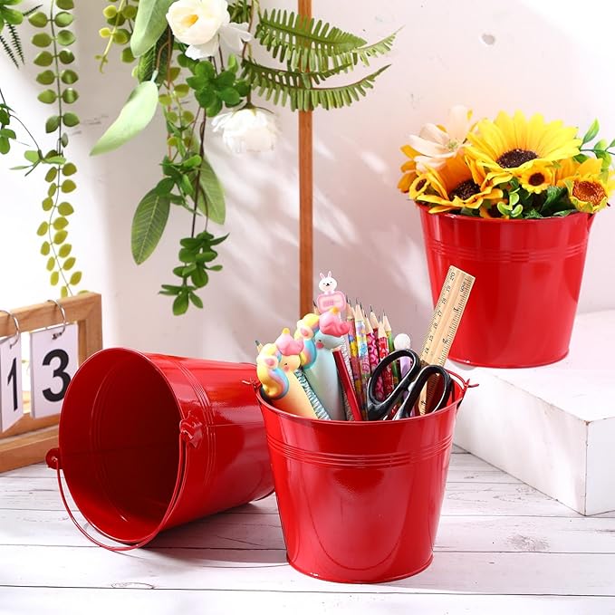 Rtteri 24 Pcs Small Metal Buckets with Handle Mini Buckets Bulk for Easter Party Favors Classroom Pencil Holder Flower Pot Plant Basket for Crafts DIY Projects, 6 x 5 Inch(Red)