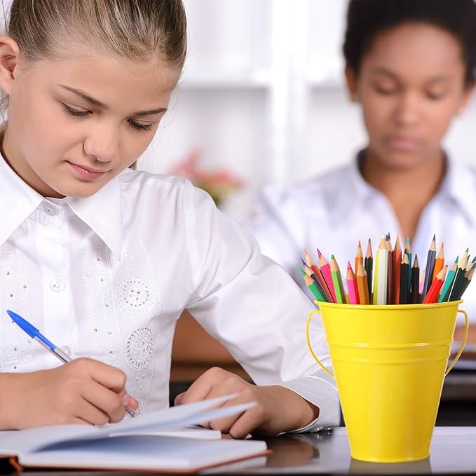 Sadnyy 12 Pack Metal Buckets with Handle, Galvanized Bucket 4.5 x 5 Inch Basket Bucket Party Supplies, Crafts for Christmas Halloween Candy Bars Vase Crafts(Rainbow Color)