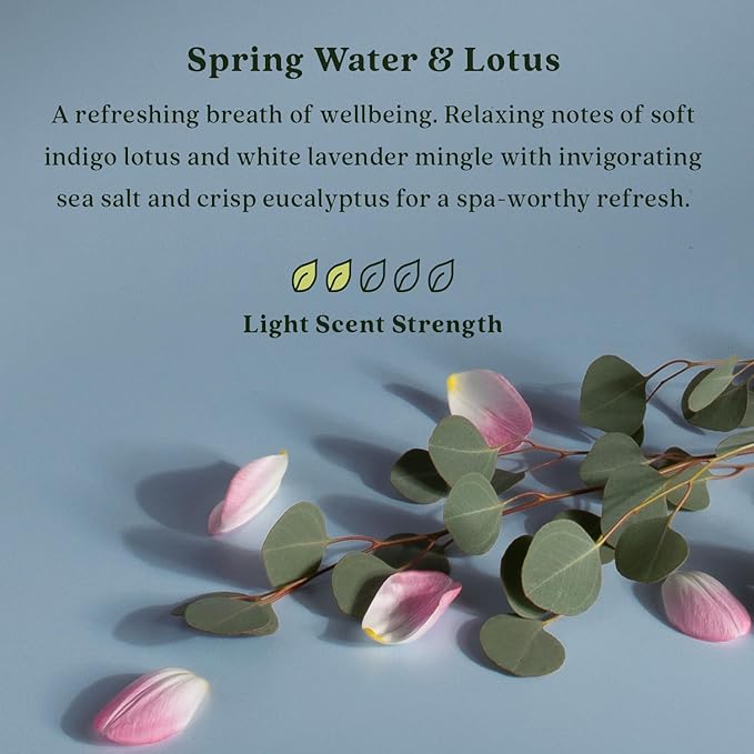 Enviroscent Non-Toxic Air Freshener for Home (Spring Water & Lotus) Essential Oil Diffuser | Home Fragrance Last Over 30 Days | 8 Scent Stix Refills