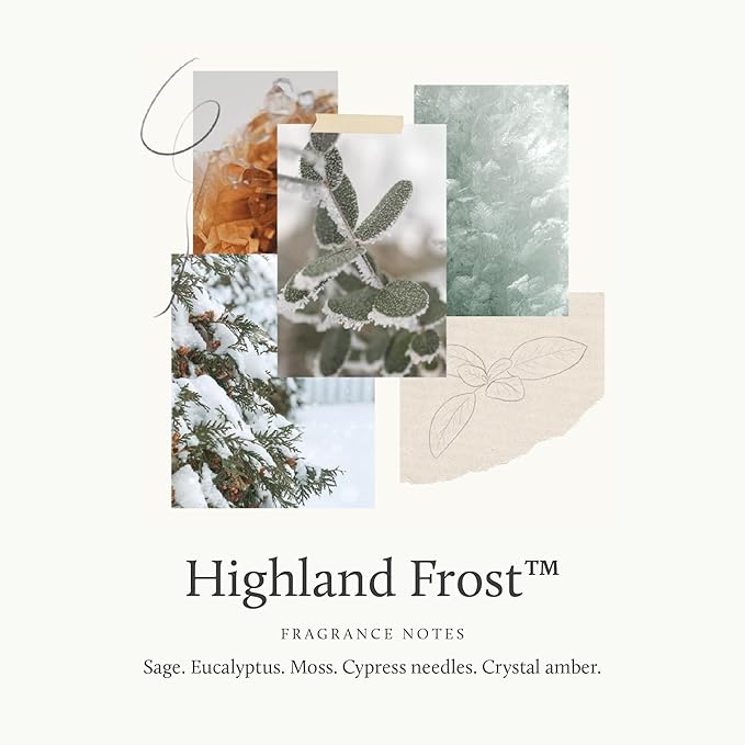 Thymes Home Fragrance Mist – Room Air Fresheners for Home Long Lasting – Air Freshener Spray – Holiday Room Spray with Crisp Notes of Sage, Eucalyptus, Cypress Needles & Amber (Highland Frost, 3 oz)