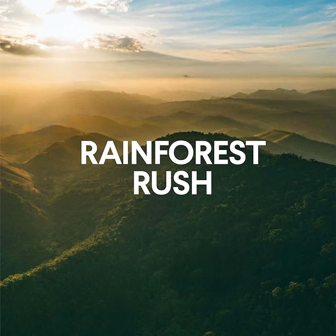 Clorox ToiletWand Toilet Cleaner Refills, Toilet brush, Rainforest Rush, 10 Ct