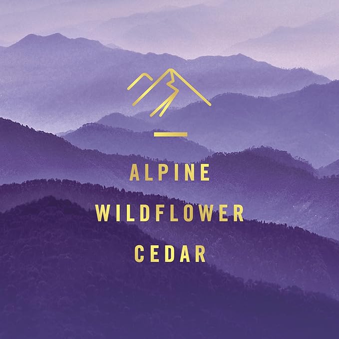 Febreze Plug In Air Freshener, Odor-Fighting Scented Oil Refill, Air Fresheners for Home and Bathroom and Kitchen, Long Lasting for Strong Odors, Ocean & Mountain Scents, 0.87oz Refills, 4 Count