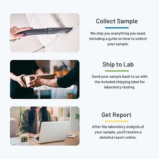 Mold Dust Surface Test by SimpleLab | Mold Test Kit for Home & Office | Tests for 36 Types of Mold, Fungi, Mildew | Air Mold Test Kit, and Home Mold Test kit for Home | Indoor Surfaces