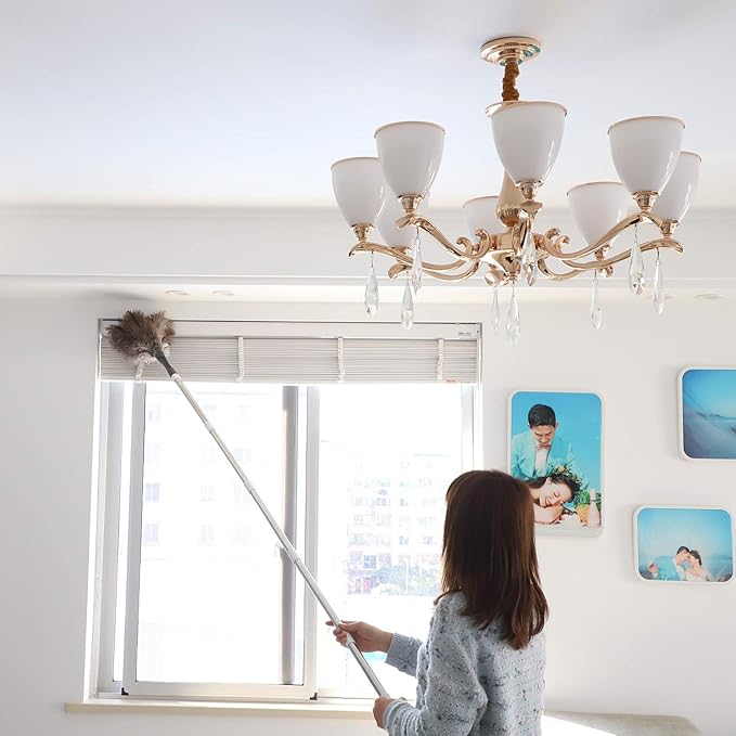 Gray Ostrich Feather Duster with 71Inch Pole,Extendable Microfiber Duster for Home Cleaning