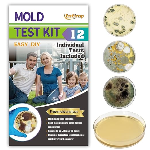 Mold Test Kit for Home Within 12 Individual Tests,DIY Detector at Home, Surface Mold,HVAC,Indoor Air Quality Testing Kits,Black Mold Testing,Includes Detailed Mold Identification Guide and Free Lab