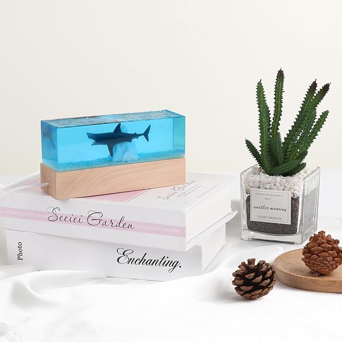 Large Resin Molds, Rectangle Silicone Molds for Epoxy Resin, 5 PCS Cuboid Resin Moulds with Wooden Support, Deep Casting Molds for Preserving Flowers, Insect Specimens, DIY Gifts, Furniture Decoration