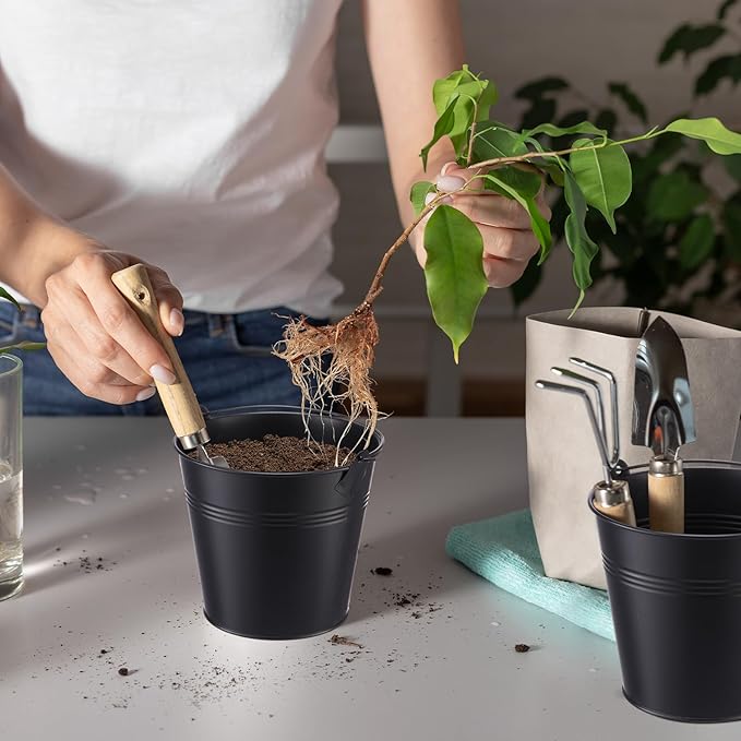 Rtteri 24 Pcs Metal Bucket 5 x 3.5 x 4.7 Inch Mini Party Buckets for Flower Pot Plant Basket Iron Small Metallic Pails with Handle for Container Candy Snack Crafts Vase Party Favors(Black)