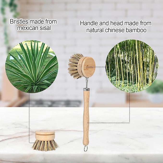 Bamboo Dish Scrubber with Handle - Natural Hard Bristles, Compostable & Sustainable, Kitchen Scrub Brush for Dishes, Pots and Pans