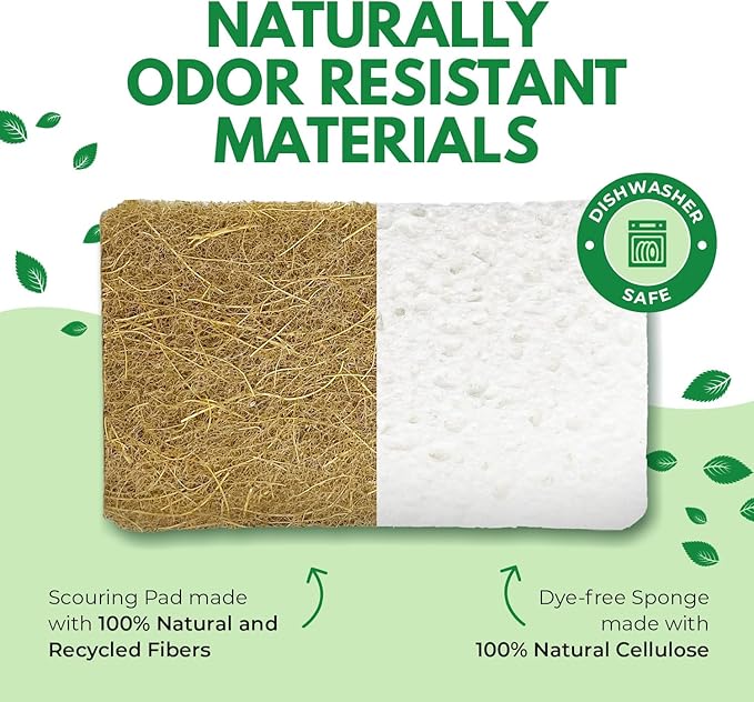 Biodegradable Natural Kitchen Sponges Pack of 6 - Cellulose and Coconut Walnut Scrubber Sponge - Eco Friendly Sponges for Dishes