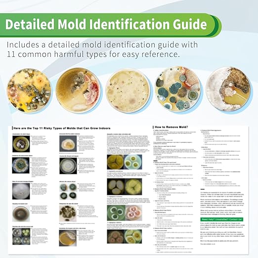 Mold Test Kit for Home with Free Lab Analysis - 10 Simple Detection Tests DIY at Home Mold Air Tester - Test HVAC System,Surface Mold for Home Indoor & Outdoor Air Quality Mold Testing Kits Detector