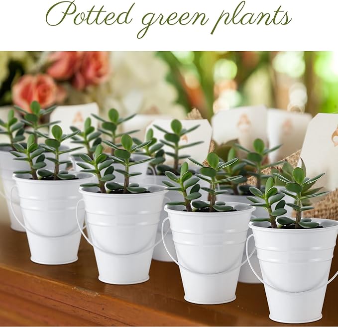 Sadnyy 12 Pcs 3.5in Small Metal Buckets with Handle, Mini Metal Pail Tin Galvanized Pail Container for Trick or Treat Flower Plant Craft Halloween Party Favors Garden Home Decoration (White)