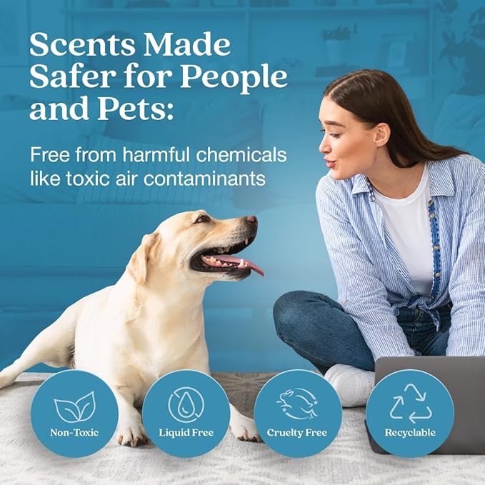 Enviroscent Non-Toxic Air Freshener for Home | Liquid Free Diffuser | Home Fragrance Lasts Over 30 Days | Kit includes 1 Mango Wood Stand & 1 Scent Stix Refill (Spring Water & Lotus)