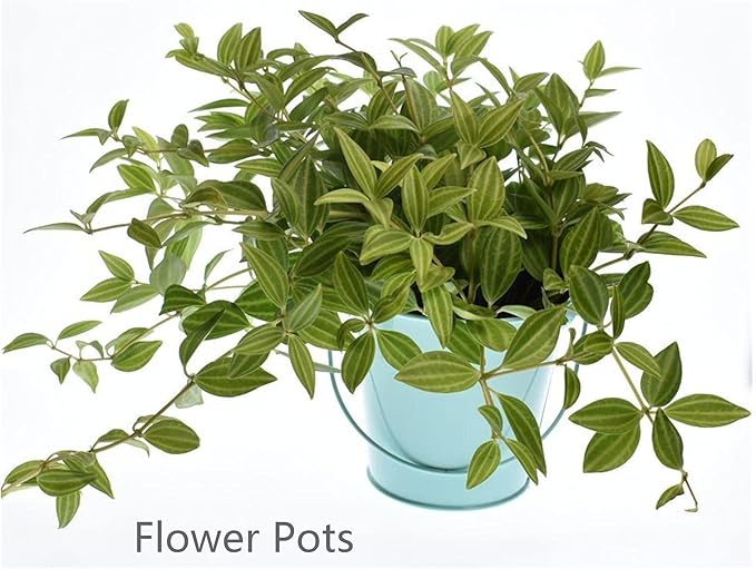 Small Metal Buckets with Handle, 6 Pack 4.3 Inch Colored Galvanized Bucket for Kids,Classroom,Crafts,and Party Favors (Green Blue, 4.3" Top)