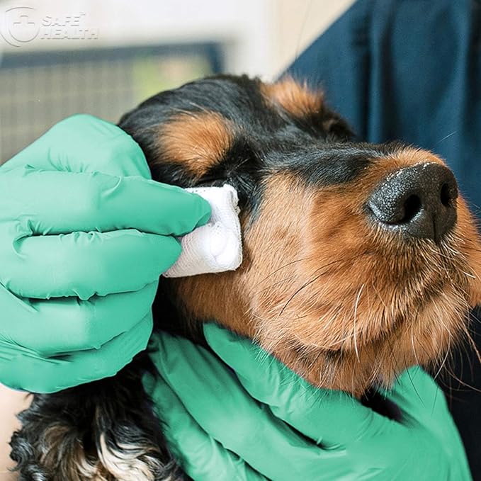 Safe Health Aloegenii HD Green Vinyl Disposable Gloves, Aloe Vera Coated, 5.5 mil, Case of 1000, Large, Latex Free, Powder Free, Cleaning, Food Service, Office, Janitorial