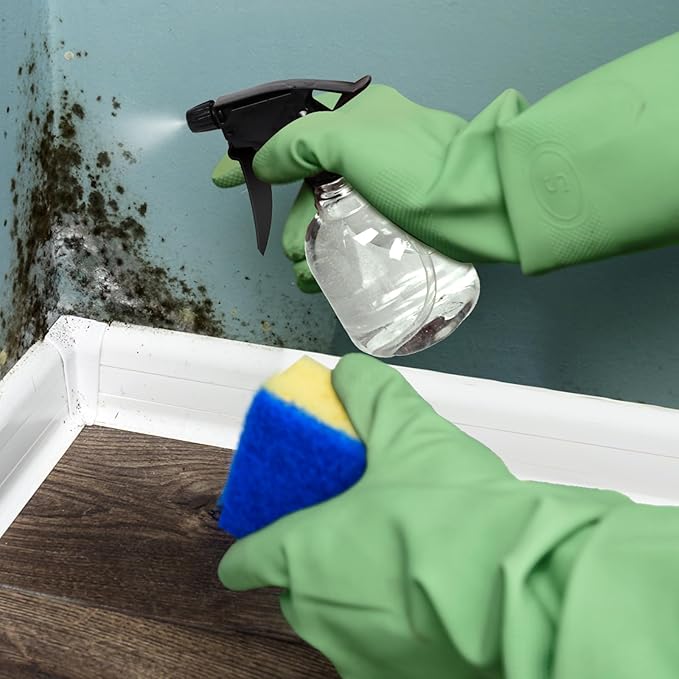 20 Pieces Plastic Spray Bottles Bulk 8 oz/250ml Small Empty Spray Bottles Sprayer for Hair Mister Spray Bottle Watering Plants Showering Pets