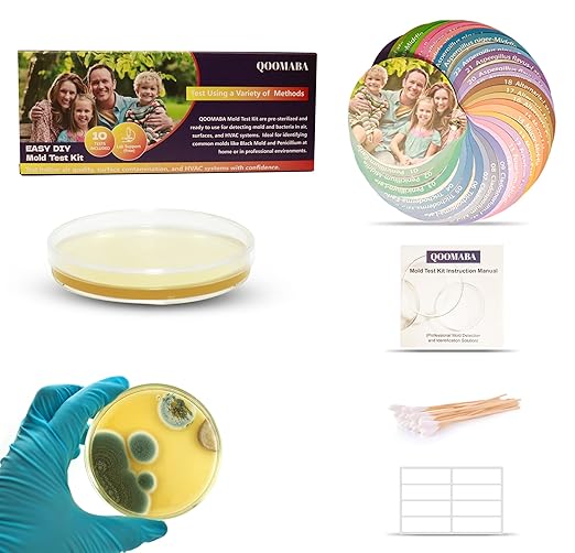 Mold Test Kit for Home Air Quality 10PCS - Mold Toxicity Test for HVAC, at Home Mold Test Kit, Mold Detector for Home Air Quality - Black Mold Testing Kit Air with Guide and Lab Support