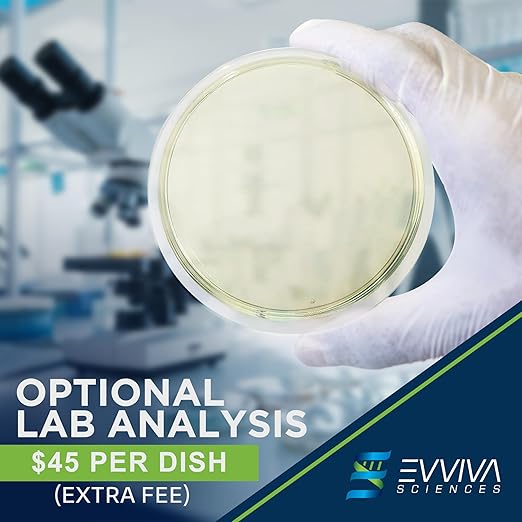 Evviva Sciences Mold Test Kit for Home - 5 Simple Detection Tests w/Optional Lab Analysis (Extra Fee), Test HVAC System, Home Surfaces, & Indoor Air Quality - Downloadable Mold Information Guide