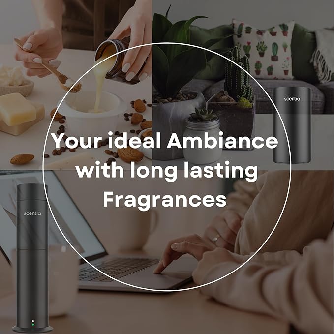 Scentia Hotel Diffuser Oil Inspired by The 5- Star Hotel Scent - 500 ml 16.9 fl oz - Essential Oil Blend for Diffuser Refill,White Tea Oil for Aromatherapy Diffusers and Humidifiers - Dream Walk