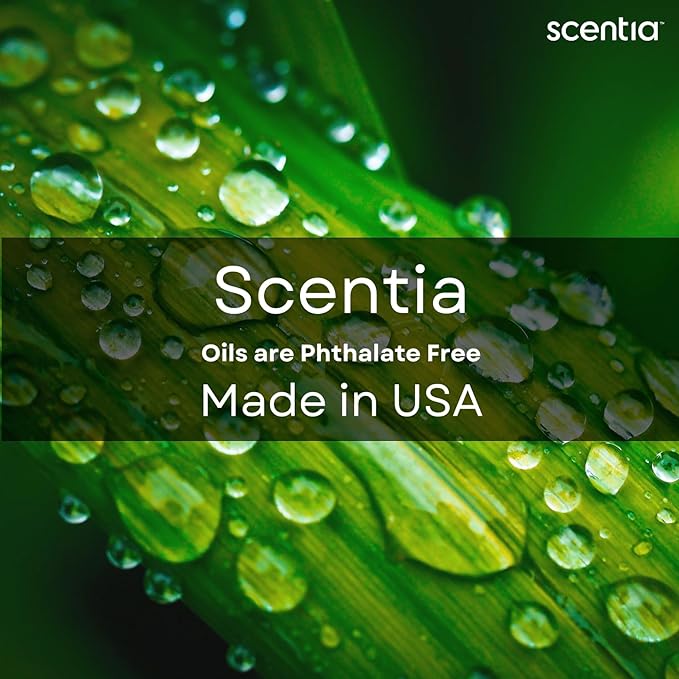 Scentia W Magic Hotel Diffuser Oil Inspired by 5-Star Hotel - 50 mL 1.69 fl oz - Fragrance Oil Blend Bergamot, Lemongrass & Jasmine for Aromatherapy Diffusers and Humidifiers