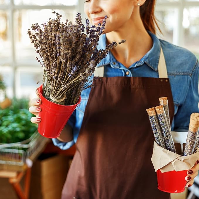 Sadnyy 12 Pack Metal Buckets with Handle, Galvanized Bucket 4.5 x 5 Inch Basket Bucket Party Supplies, Crafts for Christmas Halloween Candy Bars Vase Crafts(Red)