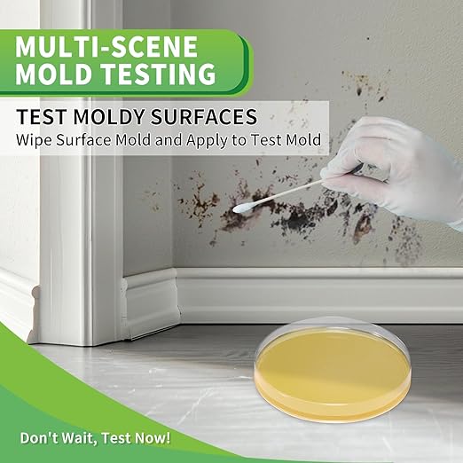Mold Test Kit for Home with Free Lab Analysis - 5 Simple Detection Tests DIY at Home Mold Air Tester - Test HVAC System,Surface Mold for Home Indoor & Outdoor Air Quality Mold Testing Kits Detector