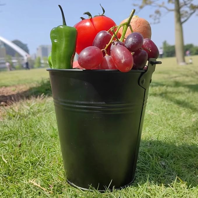 Firsgrill Wood Pellet Grease Bucket Liners for Traeger，Z Grill，Pit Boss (1, Black Bucket)