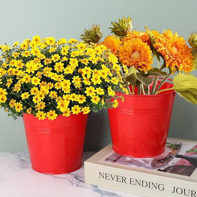 15 Pack 5.1" Red Metal Bucket, Elegant Galvanized Buckets with Handles, Tin Buckets, Small Iron Bucket, Metal Pail for Party Favors, Crafts, Garden & Beach