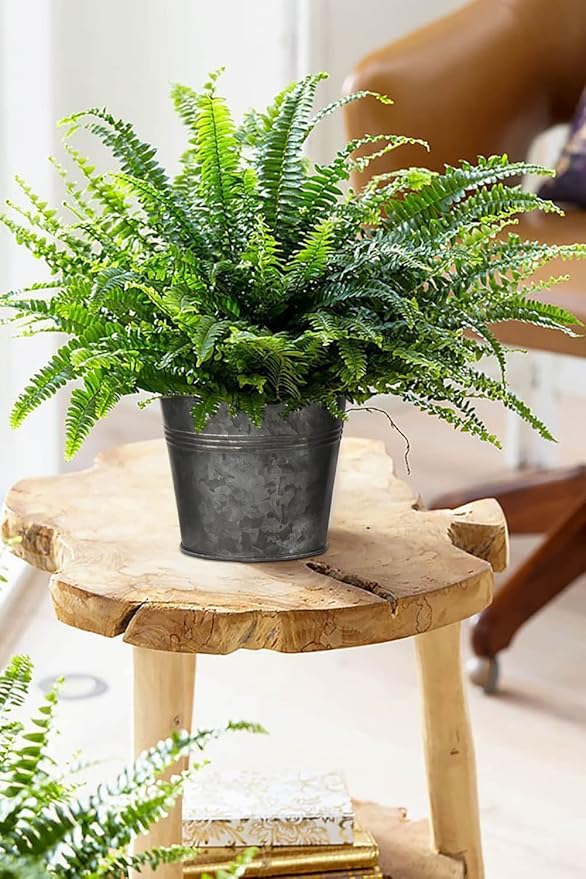 Briful 5 Size Galvanized Buckets Rustic Farmhouse Metal Bucket Galvanized Flower Bucket Home Indoor Outdoor Decorative Tin Planters (3.7In/3.9In/5.1In/5.9In/7.1In)