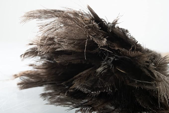 Superio Ostrich Feather Duster Fluffy Dust Remover, with Wooden Handle Reusable for Cleaning Homes, Ceilings, and Furniture (3 Pack) (1 Pack)