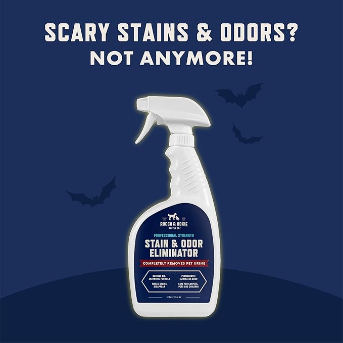 Rocco & Roxie Supply Co. Stain & Strong Odor Eliminator, Enzyme Cleaner, Pet Odor Eliminator for Home - Carpet Stain Remover for Cats & Dog Pee - Urine Destroyer - Carpet Cleaner Spray Clear, 32 Fl Oz