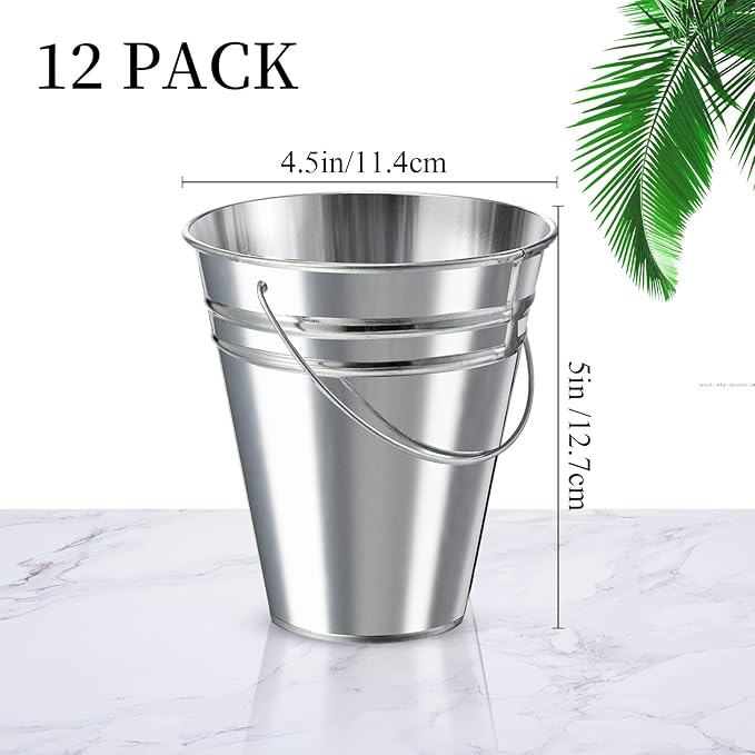 Sadnyy 12 Pack Metal Buckets with Handle, Galvanized Bucket 4.5 x 5 Inch Basket Bucket Party Supplies, Crafts for Christmas Halloween Candy Bars Vase Crafts(Silver)