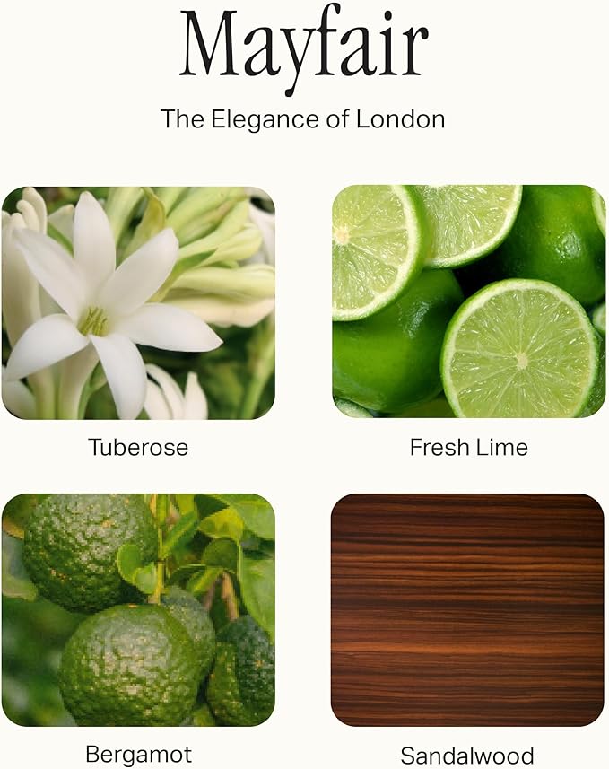 Preston Lane Signature Set, Includes All Purpose Cleaner, Dish Soap, Hand Wash, Hand Cream, & Scented Candle, Mayfair