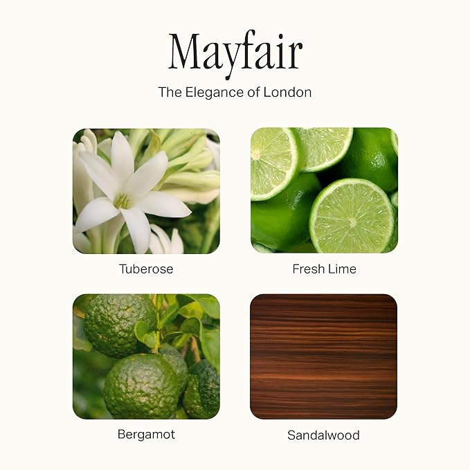 Preston Lane Kitchen Set, Hand Wash, Dish Soap & All Purpose Cleaner, Cleaning Essentials Bundle