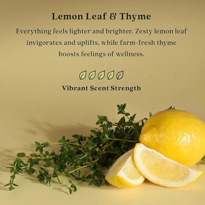 Enviroscent Non-Toxic Air Freshener for Home (Lemon Leaf & Thyme) Essential Oil Diffuser | Air Freshener & Room Freshener | Home Fragrance Last Over 30 Days | 8 Scent Stix Refills