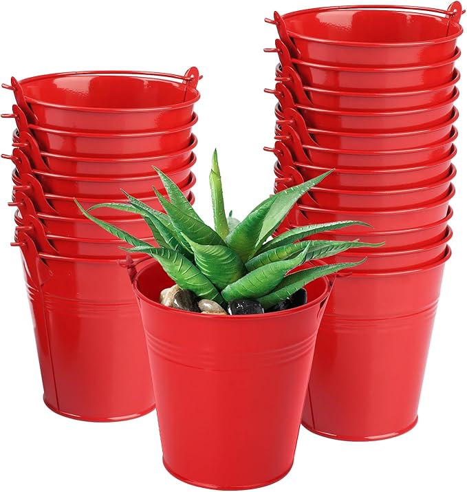 20 Pack 4 Inch Red Mini Metal Bucket, Elegant Galvanized Buckets with Handles, Tin Buckets, Small Iron Bucket, Mini Metal Pail for Party Favors, Crafts, Garden & Beach