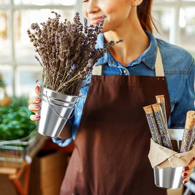 Sadnyy 12 Pack Metal Buckets with Handle, Galvanized Bucket 4.5 x 5 Inch Basket Bucket Party Supplies, Crafts for Christmas Halloween Candy Bars Vase Crafts(Silver)